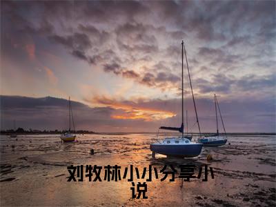  刘牧林小小全文免费阅读无弹窗-（ 刘牧林小小）神豪系统爆金币，我被女人抢疯了小说全文在线阅读笔趣阁