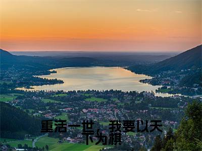 重活一世,我要以天下为棋(沈嘉闵谢饶年)全文免费阅读无弹窗大结局_(重活一世,我要以天下为棋)沈嘉闵谢饶年免费阅读无弹窗最新章节列表