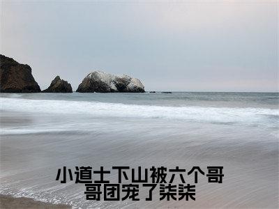 小道士下山被六个哥哥团宠了柒柒(柒柒)全文免费在线阅读_小道士下山被六个哥哥团宠了柒柒全文免费阅读无弹窗大结局
