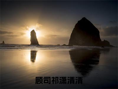 顾司祁潇清清小说(潇清清顾司祁)全文免费阅读_(潇清清顾司祁)顾司祁潇清清最新章节列表笔趣阁