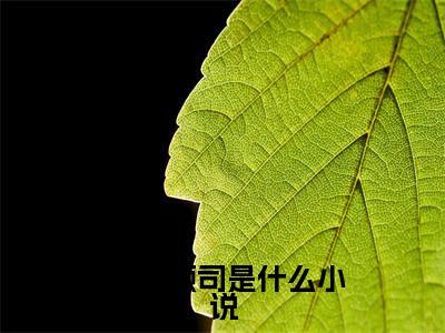 完整版阅读考大学，嫁小叔，前任渣夫被逼疯（ 童画顾司）全文免费阅读无弹窗大结局_完整版阅读考大学，嫁小叔，前任渣夫被逼疯小说免费最新章节列表_笔趣阁
