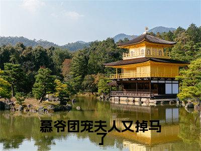 经典小说慕爷团宠夫人又掉马了无广告小说免费阅读叶云希慕翊岩全章节免费阅读