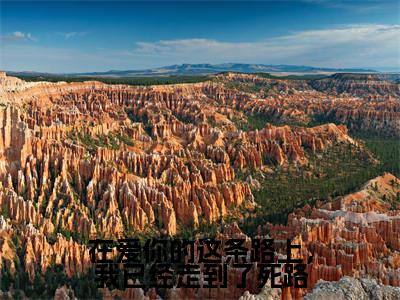 在爱你的这条路上,我已经走到了死路(谢明哲明奚)全文免费阅读-(谢明哲明奚小说)在爱你的这条路上,我已经走到了死路最新章节列表