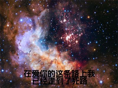 谢明哲明奚小说在线阅读(在爱你的这条路上我已经走到了死路)全文免费阅读无弹窗大结局