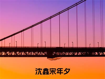 宋年夕沈鑫(沈鑫宋年夕)小说大结局免费阅读(沈鑫宋年夕)-完结版宋年夕沈鑫小说推荐