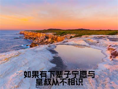 小说顾晚钰谢鹤憬(如果有下辈子宁愿与皇叔从不相识)大结局免费阅读-如果有下辈子宁愿与皇叔从不相识最新热门小说全文阅读