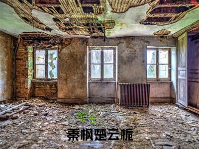 楚云栀秦枫(秦枫楚云栀)小说在线阅读_楚云栀秦枫全本免费小说阅读大结局(秦枫楚云栀)
