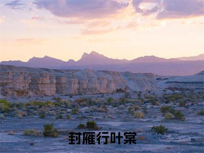 叶棠封雁行(封雁行叶棠)全文免费阅读无弹窗大结局_封雁行叶棠:叶棠封雁行最新章节列表_笔趣阁
