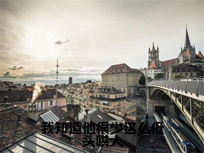 阮南梨盛京燃小说全文免费阅读_阮南梨盛京燃(我知道他很少这么低头哄人)最新章节列表笔趣阁