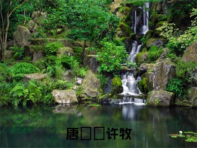(唐玥玥许牧)全文免费阅读无弹窗大结局_唐玥玥许牧免费最新章节列表_笔趣阁