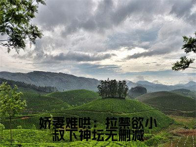 娇妻难哄：拉禁欲小叔下神坛在线阅读（ 江稚鱼时雨寒）全文免费阅读无弹窗大结局_ 江稚鱼时雨寒最新章节列表笔趣阁（娇妻难哄：拉禁欲小叔下神坛）