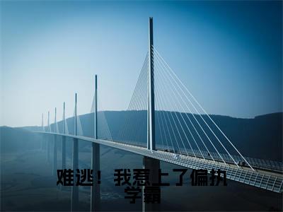 难逃！我惹上了偏执学霸全文无弹窗阅读 权知岁魏时序大结局全文免费