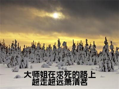 小说萧清茗（大师姐在求死的路上越走越远萧清茗小说免费阅读）完结阅读，萧清茗在线阅读