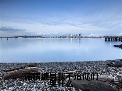 路过(诸病缠身我不治你们哭什么)小说免费阅读_路过精选小说全文阅读(诸病缠身我不治你们哭什么)