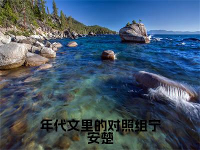 年代文里的对照组宁安楚全本小说无弹窗阅读-年代文里的对照组宁安楚(宁安楚)精彩热门小说