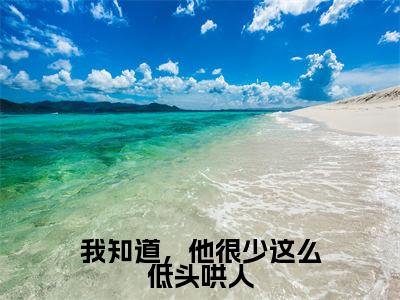 我知道，他很少这么低头哄人全文免费在线阅读_（阮南梨盛京燃全文免费阅读无弹窗大结局）我知道，他很少这么低头哄人最新章节列表笔趣阁