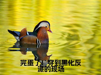 叶净月顾惊尘的小说(完蛋了!穿到黑化反派的现场)免费阅读_叶净月顾惊尘小说免费阅读-笔趣阁