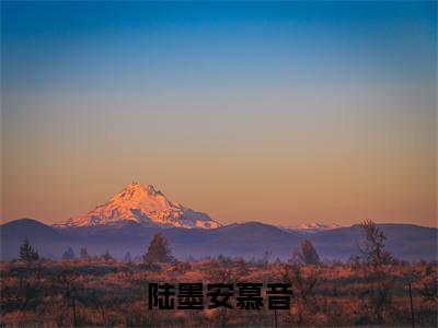 陆墨安慕音（慕音陆墨安）全文免费阅读无弹窗_陆墨安慕音最新小说_笔趣阁（慕音陆墨安）