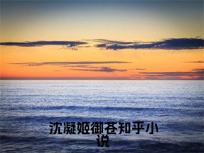 小说王妃世无双：摄政王他甘愿称臣（ 沈凝姬御苍）全文免费阅读-最火热门小说王妃世无双：摄政王他甘愿称臣最新章节更新