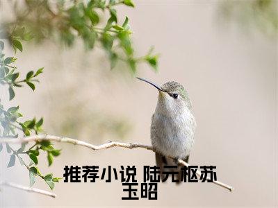 真千金回府后，反派们慌了（ 陆元枢苏玉昭全文在线阅读）-真千金回府后，反派们慌了（ 陆元枢苏玉昭）免费阅读