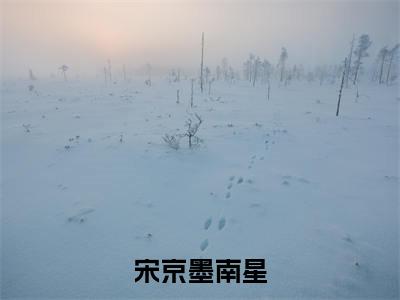 南星宋京墨(宋京墨南星)免费阅读无弹窗大结局-宋京墨南星完整版最新阅读