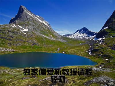 独家偏爱靳教授请轻轻吻(时宁靳宴)全文免费在线阅读_独家偏爱靳教授请轻轻吻全文阅读_笔趣阁(时宁靳宴)