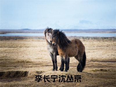 李长宁沈丛京小说全文免费阅读_（李长宁沈丛京）李长宁沈丛京小说最新章节列表笔趣阁