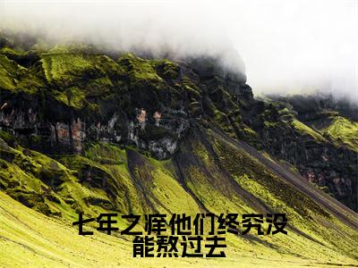 七年之痒他们终究没能熬过去小说全文免费阅读_(唐苒苒顾若修)七年之痒他们终究没能熬过去最新章节列表笔趣阁
