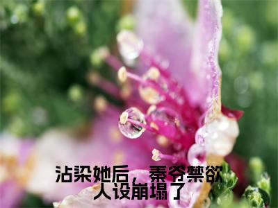 沾染她后,秦爷禁欲人设崩塌了(秦砚之盛玥)小说全文免费阅读无弹窗-沾染她后,秦爷禁欲人设崩塌了全章节在线阅读
