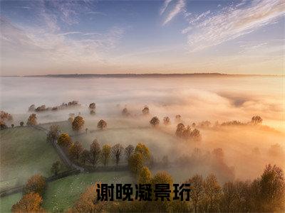 (谢晚凝景珩)全文免费阅读无弹窗(谢晚凝景珩)谢晚凝景珩已完结全集大结局