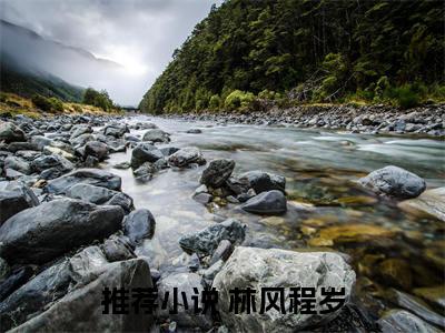  林风程岁全文免费阅读大结局_重生后确诊，他不再讨好所有人已完结全集 林风程岁大结局小说