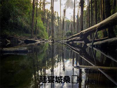 陆宴城桑沵(桑沵陆宴城)全文免费阅读无弹窗大结局_陆宴城桑沵(桑沵陆宴城)小说全文免费阅读最新章节列表
