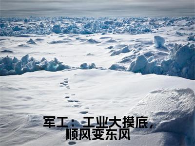 苏白(军工:工业大摸底,顺风变东风)最新热门小说榜单推荐-苏白最新章节免费阅读