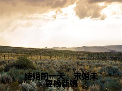 结婚前一天,未婚夫要换新娘小说全文免费阅读(郭婷贺鸿)全文免费阅读无弹窗大结局