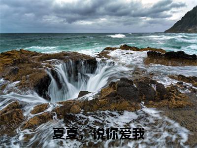 夏夏,说你爱我全文无弹窗阅读温知夏顾平生大结局全文免费