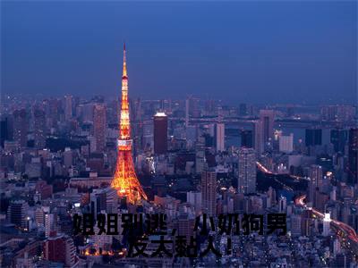 姐姐别逃，小奶狗男友太黏人！（莫禧婧彦子维）小说全文免费读无弹窗大结局_姐姐别逃，小奶狗男友太黏人！小说章节试读最新章节列表笔趣阁