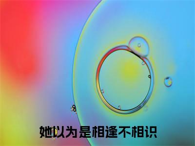 程禹池安(她以为是相逢不相识)全文免费阅读_(她以为是相逢不相识)程禹池安最新章节列表_笔趣阁