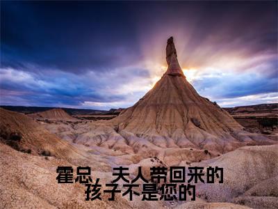 霍总,夫人带回来的孩子不是您的小说全文免费阅读(庄嘉宁霍一珩)免费阅读全文免费阅读无弹窗大结局