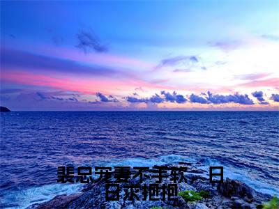 林洛裴诀全文免费阅读无弹窗大结局_裴总宠妻不手软，日日求抱抱最新章节列表_笔趣阁