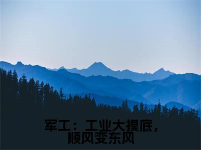 苏白军工:工业大摸底,顺风变东风在线小说-军工:工业大摸底,顺风变东风全文无删减版阅读