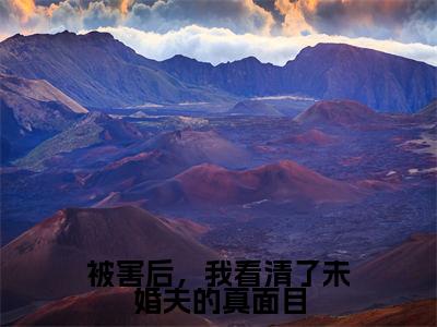 被害后，我看清了未婚夫的真面目（程秋桐傅殷雷）全文免费阅读无弹窗大结局_被害后，我看清了未婚夫的真面目全文在线阅读无弹窗