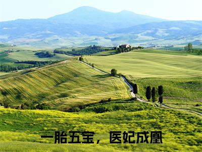 李璋林晚今日阅读更新，一胎五宝，医妃成凰全文在线看