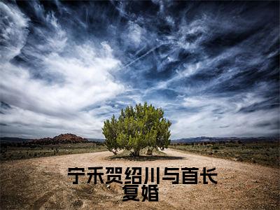 小说 宁禾贺绍川与首长复婚，我养崽随军都可行求书热文免费阅读- 宁禾贺绍川小说分享全文与首长复婚，我养崽随军都可行