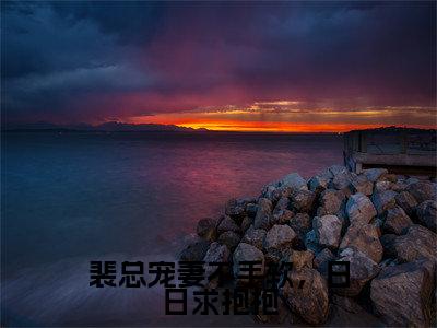裴总宠妻不手软,日日求抱抱(裴诀林洛)小说全文免费阅读无弹窗-裴总宠妻不手软,日日求抱抱全章节在线阅读