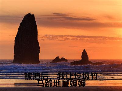 被渣后,我让垃圾竹马跪地喊婶婶(叶芊芊谢辞年)全文免费阅读无弹窗大结局_被渣后,我让垃圾竹马跪地喊婶婶(叶芊芊谢辞年)全文阅读_笔趣阁