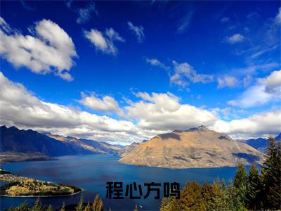  程心方鸣小说叫什么名字（妻子的谎言：迟来的道歉不配说爱）完整版大结局- 程心方鸣小说在线阅读
