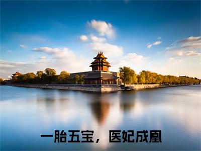 一胎五宝，医妃成凰全文免费阅读无弹窗（小说全文免费阅读）李璋林晚最新章节列表
