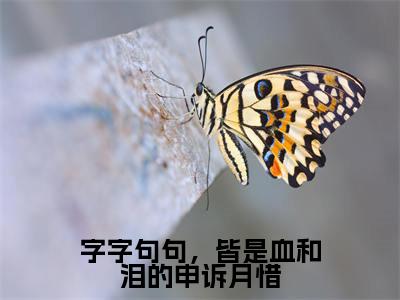 字字句句,皆是血和泪的申诉月惜(月惜灏璟)全文免费阅读_字字句句,皆是血和泪的申诉月惜(月惜灏璟)章节免费阅读-笔趣阁