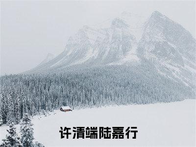 许清端陆嘉行（陆嘉行许清端小说）最新在线阅读_陆嘉行许清端小说免费阅读