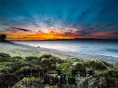 结婚前一天,未婚夫要换新娘全文免费阅读_结婚前一天,未婚夫要换新娘(郭婷贺鸿免费阅读无弹窗)郭婷贺鸿最新章节在线阅读笔趣阁
